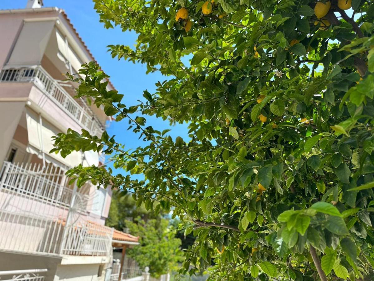 La Vita Apartments-Near Airport & Sea Луца Экстерьер фото