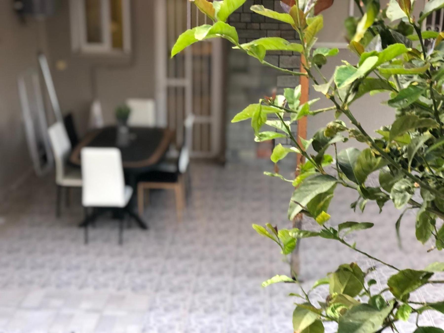 La Vita Apartments-Near Airport & Sea Луца Номер фото